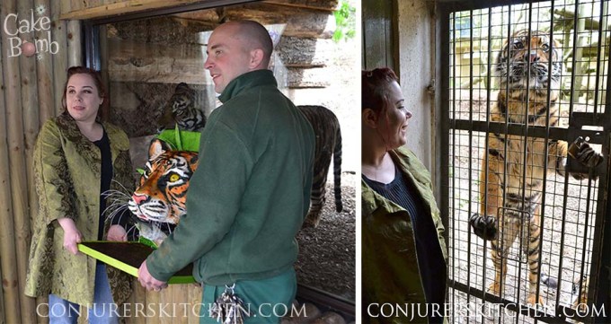 annabel tiger slider 2